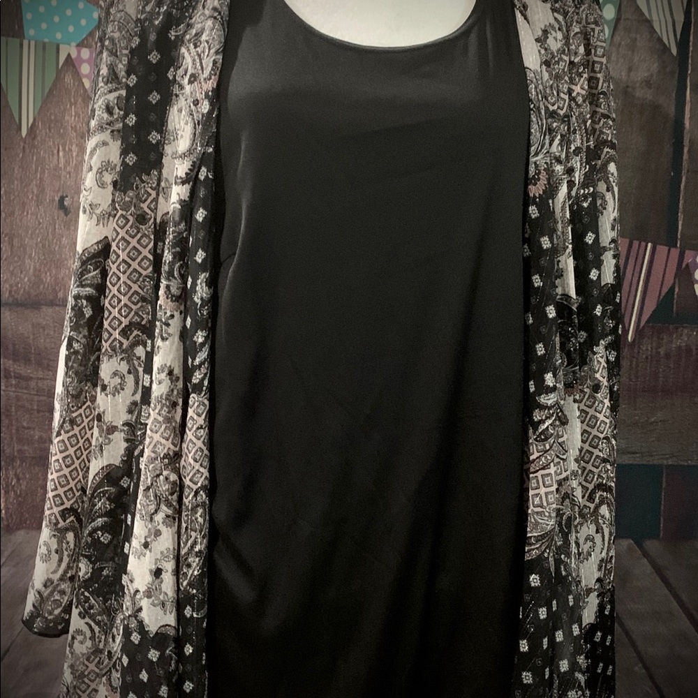 Sheer top with attached cami